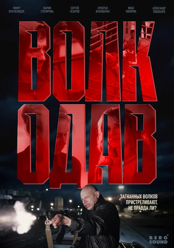 Постер Волкодав (2025)