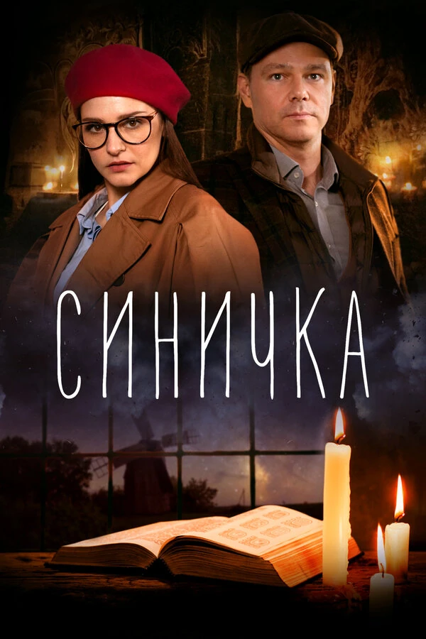Постер Синичка (2018)